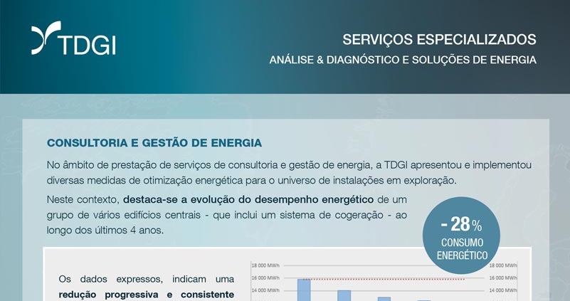 Consultoria Energética. TDGI Portugal